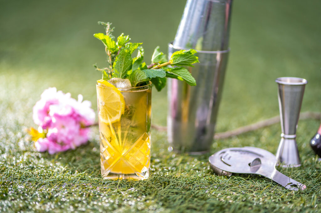 Refreshing cocktail with lemon slice and mint garnish beside a shaker on grass.