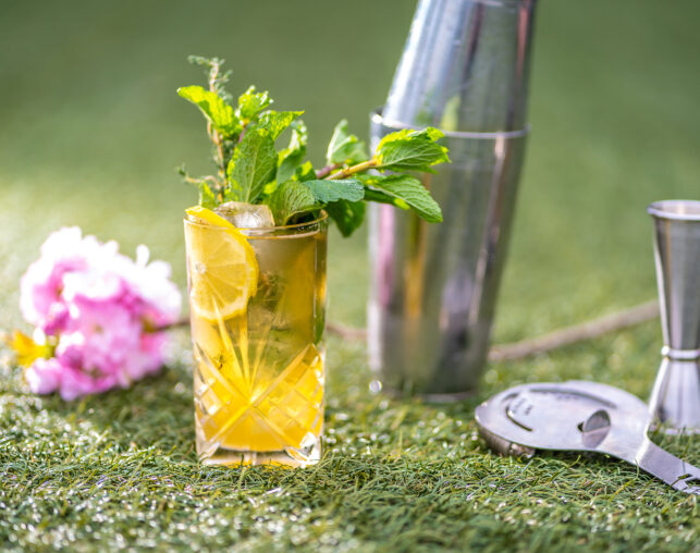 Refreshing cocktail with lemon slice and mint garnish beside a shaker on grass.