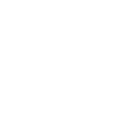 Little Fino logo